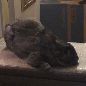 Meet your Posher, Julia